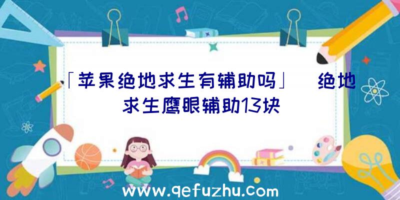 「苹果绝地求生有辅助吗」|绝地求生鹰眼辅助13块